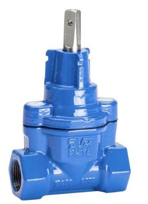 Cast iron straight service valve BSP female x female