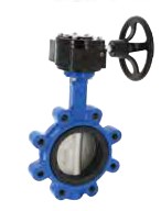 Lug Butterfly valve with reducer and handwheel EN-GJL-250/CF8M/EPDM