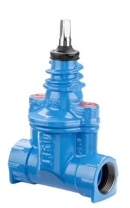 Hawle Straight service valve No. 2500 BSP Female x BSP Female
