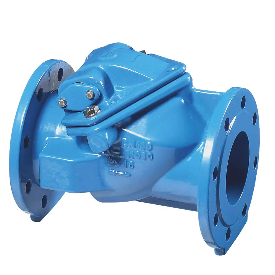 Bayard EPDM swing check valve