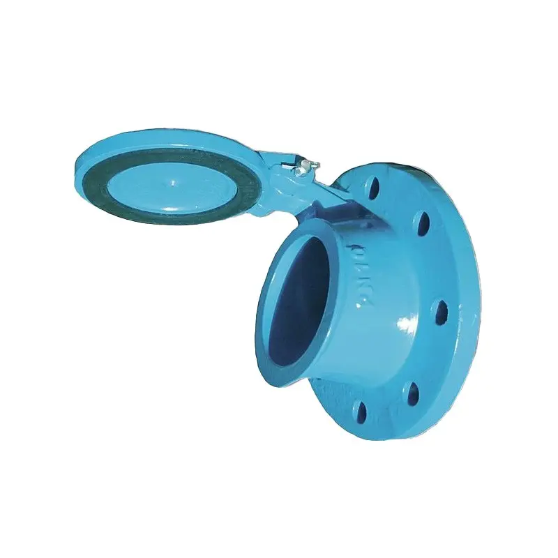 [BACLAEXT100] Bayard cast iron end flap valve, EPDM (DN100)