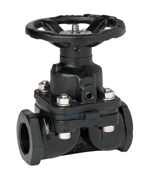 Vanne à membrane fonte Samson manuelle BSP femelle x BSP femelle