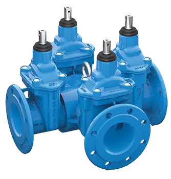 INFINI-4 Bayard EPDM combined gate valves with bare shaft